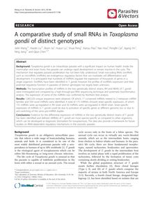 A comparative study of small RNAs in Toxoplasma gondii of distinct genotypes