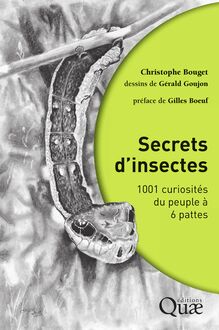 Secrets d insectes