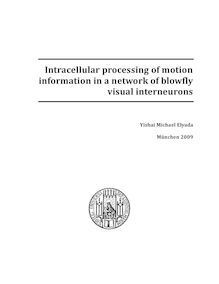 Intracellular processing of motion information in a network of blowfly visual interneurons [Elektronische Ressource] / vorgelegt von Yishai Michael Elyada