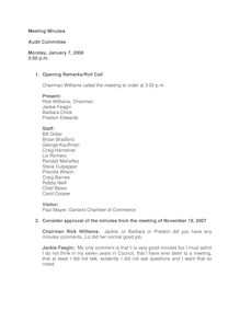 Minutes - January 7, 2008 - Audit Committee
