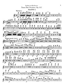 Partition flûte 1, 2, Name Day Overture, Op.115, Overtüre zur Namensfeier