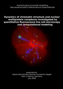 Dynamics of chromatin structure and nuclear multiprotein complexes investigated by quantitative fluorescence live cell microscopy and computational modeling [Elektronische Ressource] / presented by Norman Constantin Kappel