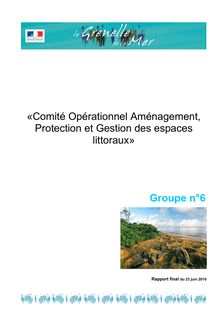 Grenelle de la mer. Rapports des comités opérationnels (COMOP). : - Groupe n° 6 - Comité opérationnel aménagement, protection et gestion des espaces littoraux - Rapport final - 23 juin 2010.