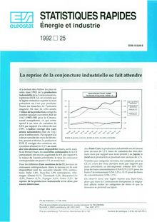 STATISTIQUES RAPIDES Énergie et industrie. 1992 25