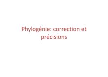 Phylogénie: correction et précisions