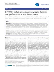 DIP/WISH deficiency enhances synaptic function and performance in the Barnes maze