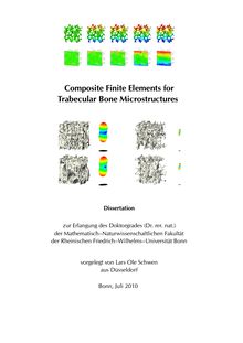 Composite finite elements for trabecular bone microstructures [Elektronische Ressource] / vorgelegt von Lars Ole Schwen