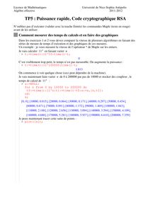 Licence de Mathématiques Université de Nice Sophia Antipolis Algèbre effective