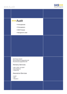 IAS Partner GmbH Audit