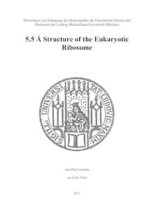 5.5 Å Structure of the Eukaryotic Ribosome [Elektronische Ressource] / Jean-Paul Armache. Betreuer: Roland Beckmann