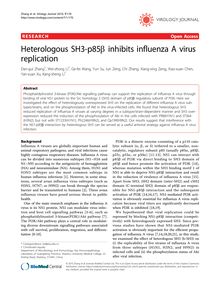 Heterologous SH3-p85β inhibits influenza A virus replication