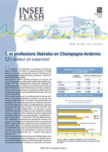 Les professions libérales en Champagne-Ardenne : un secteur en expansion