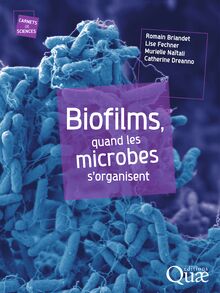 Biofilms, quand les microbes s organisent