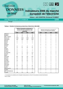 Indicateurs 2006 du marché européen de l électricité.