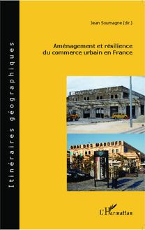 Aménagement et résilience du commerce urbain en France