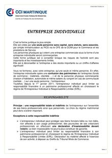 Entreprise individuelle - CCI Martinique, 2013