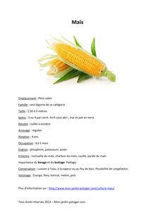 Fiche pratique du maïs
