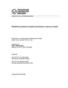 Modelling reactive transport processes in porous media [Elektronische Ressource] / vorgelegt von Haibing Shao