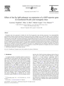 Effect of the Em IgH enhancer on expression of a GFP reporter gene in transfected B cells and transgenic mice