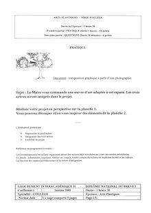 Arts Plastiques 2005 Brevet (filière générale)