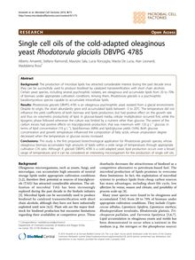 Single cell oils of the cold-adapted oleaginous yeast Rhodotorula glacialisDBVPG 4785