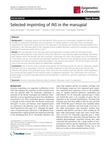 Selected imprinting of INS in the marsupial