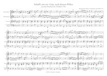 Partition , Schaff s mit mir, Gott (after BWV 514), chansons et airs