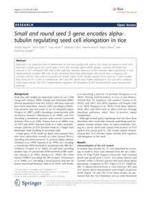 Small and round seed 5gene encodes alpha-tubulin regulating seed cell elongation in rice
