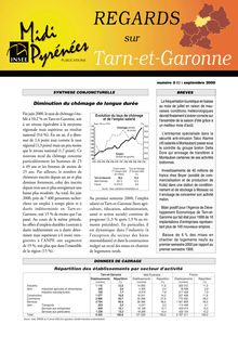 Le salaire annuel net perçu par les habitants du Tarn-et-Garonne : Regards n°3 