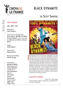 Black Dynamite de Sanders Scott