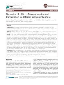 Dynamics of HBV cccDNA expression and transcription in different cell growth phase