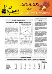 Budget des communes et intercommunalité en Haute-Garonne : Regards n° 11 