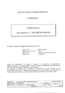 Mathématiques 2003 Bac Pro - Commerce