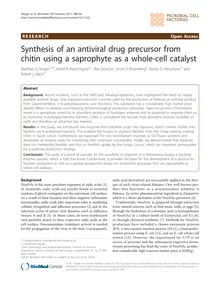 Synthesis of an antiviral drug precursor from chitin using a saprophyte as a whole-cell catalyst