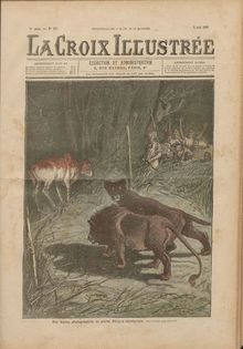 LA CROIX ILLUSTREE  numéro 293 du 05 août 1906