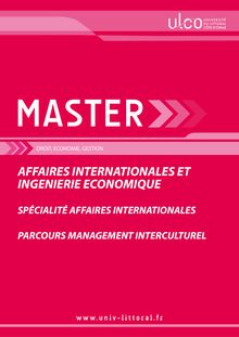 Master Management Interculturel