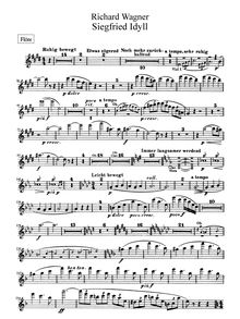Partition flûte, Siegfried Idyll, Wagner, Richard