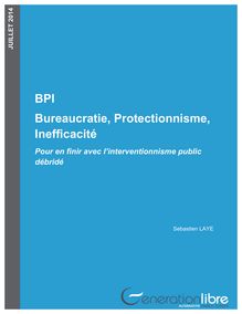 Rapport sur la BPI - Génération Libre