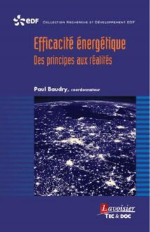 Efficacité énergétique : Des principes aux réalités (Coll. EDF R&D)