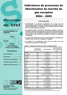 Indicateurs du processus de libéralisation du marché du gaz européen 2004-2005