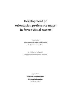 Development of orientation preference maps in ferret visual cortex [Elektronische Ressource] / Marcus Leinweber. Betreuer: Mark Hübener