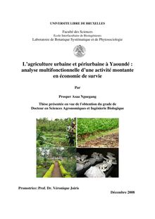 L agriculture urbaine et périurbaine à Yaoundé  : analyse ...