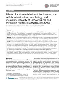 Effects of antibacterial mineral leachates on the cellular ultrastructure, morphology, and membrane integrity of Escherichia coliand methicillin-resistant Staphylococcus aureus