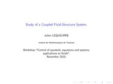 Study of a Coupled Fluid Structure System