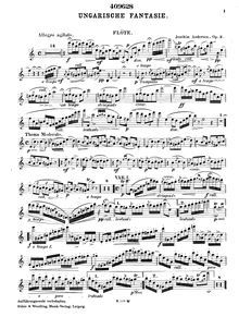Partition flûte , partie, Hungarian Fantasy, Op.2, Andersen, Joachim