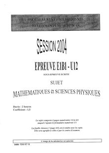 Mathématiques et sciences physiques 2004 Bac Pro - Traitements de surfaces