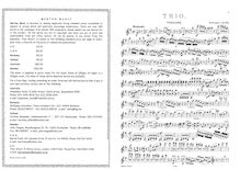 Partition complète et parties, Piano Trio, Op.164, 1er Trio facile et brillant