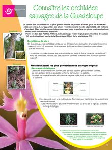 Connaître les orchidées sauvages de la Guadeloupe