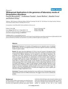 Widespread duplications in the genomes of laboratory stocks of Dictyostelium discoideum