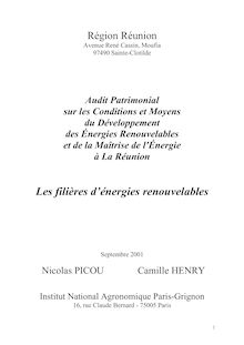 Audit ENR Réunion 2001 - Rapport final